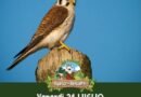Fauna selvatica, venerdì 24 luglio il rilascio in natura al Parco dei Briganti ​