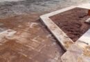 Grandine, pioggia e un albero caduto a Cassano in un pomeriggio di grave rischio idrogeologico. Con un battesimo…imbarazzante! ​