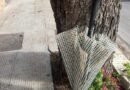 Via Sannicandro: stop alle motoseghe dopo un esposto ​