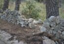 Un malore alla guida dell’auto sulla Cassano-Altamura: si accosta e muore ​
