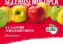 La Mela di AISM torna a Gioia per sostenere la ricerca sulla sclerosi multipla ​